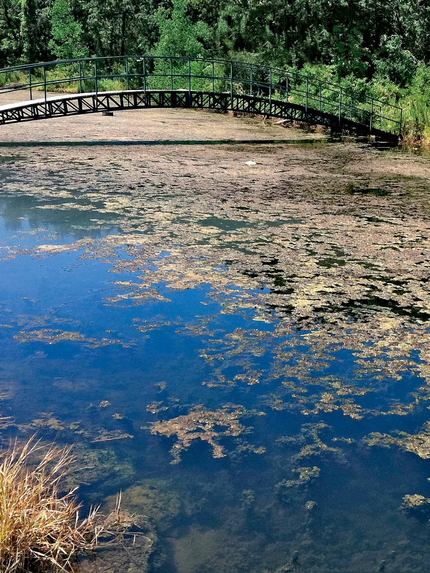 Aquasphere Pond Cleaners - Image 4