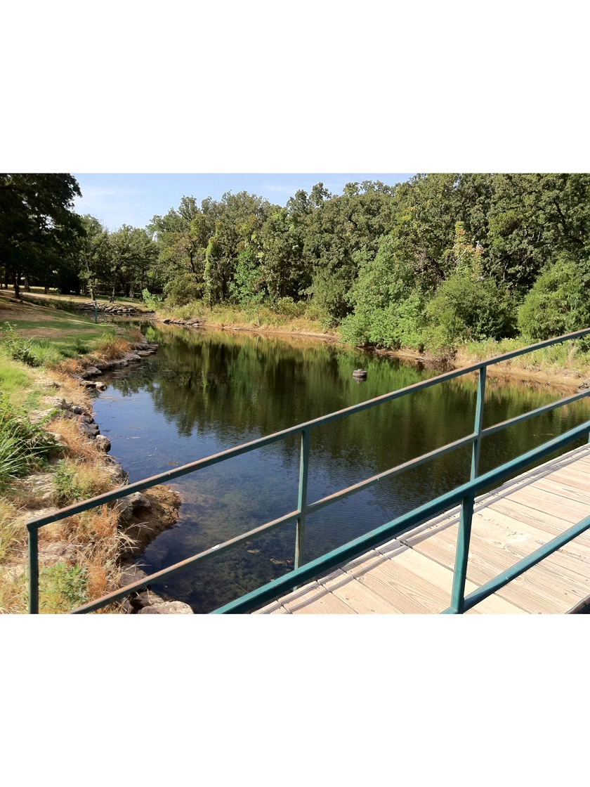 Blast, 2,500 Gallon, 5 Packets - Image 2