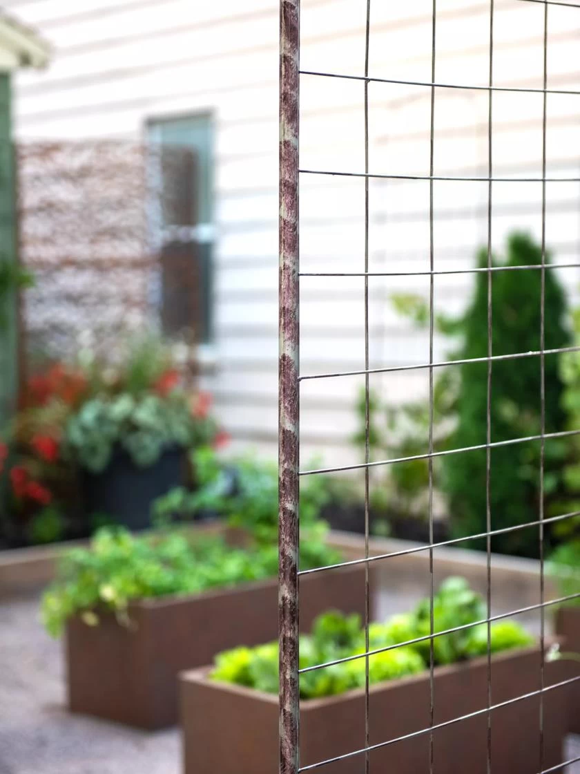 Jardin Rose Arch - Image 4