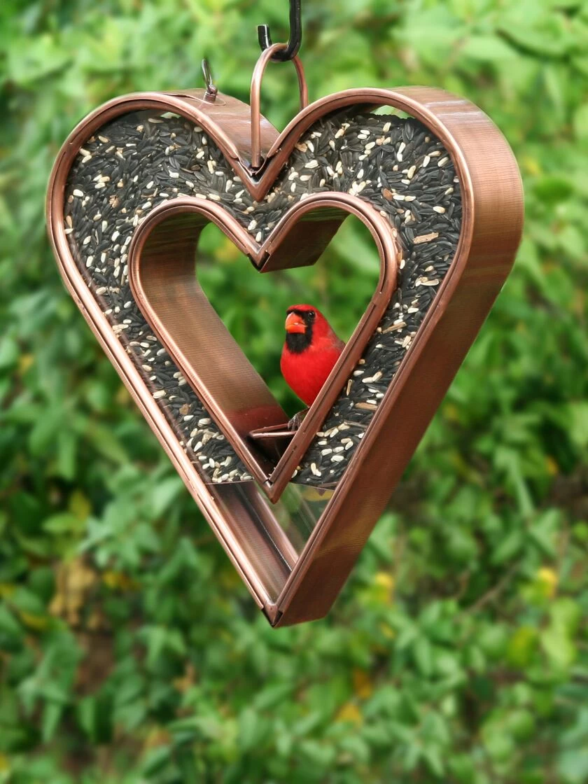 Heart Fly-Thru™ Bird Feeder - Image 2