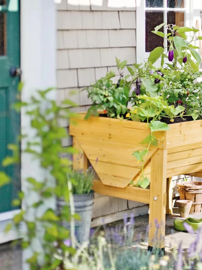 Compact VegTrug® Patio Garden - Image 2