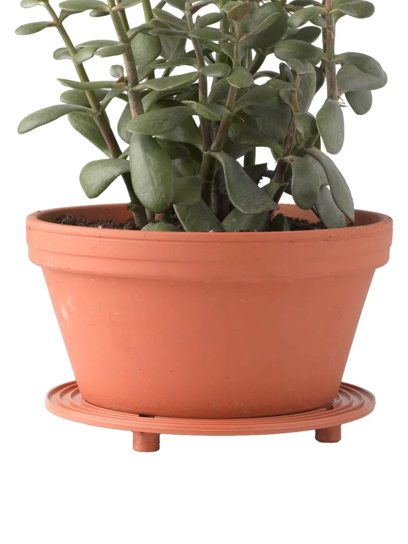 5" SurfaceSaver® , Set Of 2 - Image 2