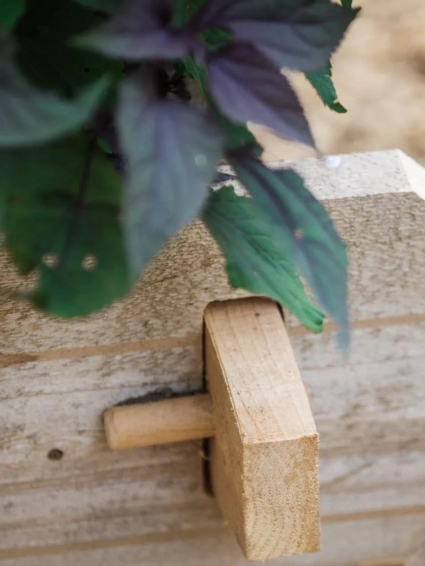 Farmstead Cedar Raised Garden Beds, 2' - Image 6