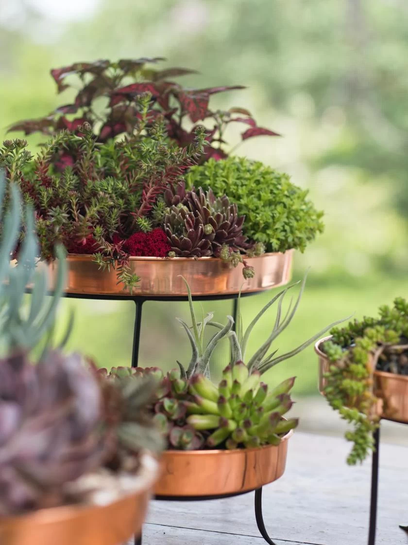 Small Round Copper Plant Tray, 10" - Image 3