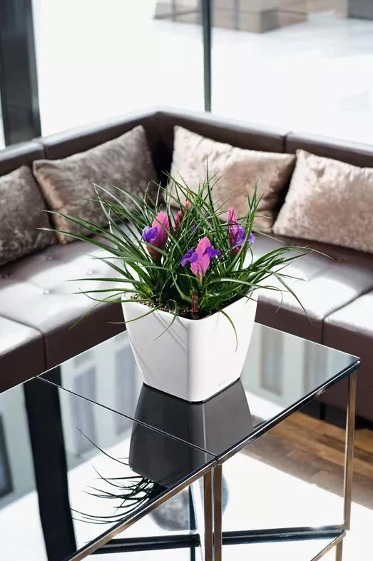 Lechuza® Quadro LS Premium Self-Watering Square Planters