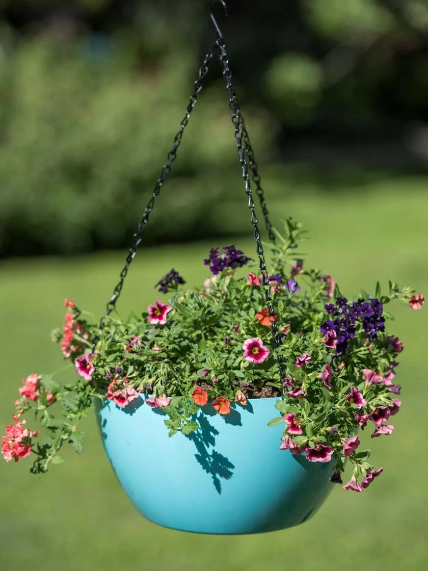 Viva Self-Watering Hanging Basket, 14" Diameter - Image 4