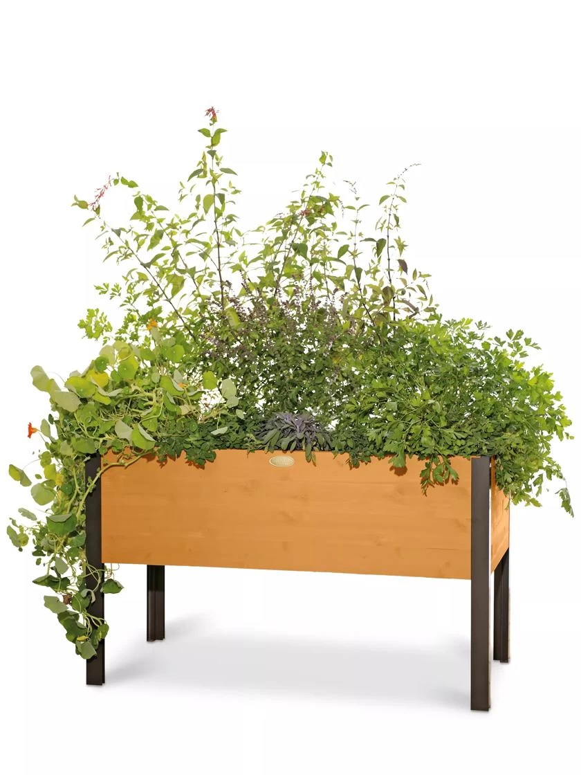 Eco-Stained Elevated Planter Box, 2'x4' - Image 8