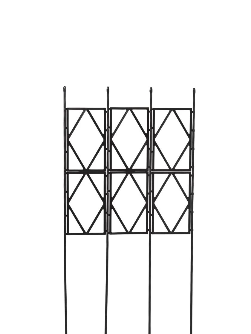 Diamond Trellis - Image 3