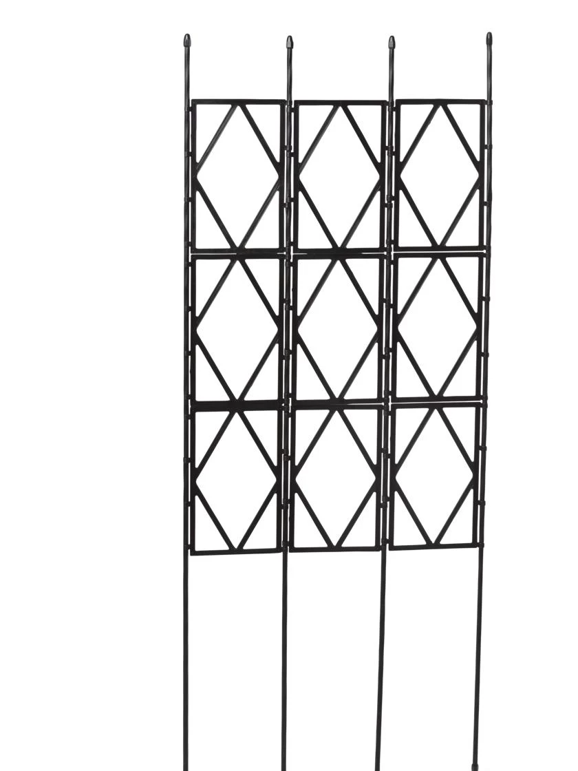 Diamond Trellis - Image 2