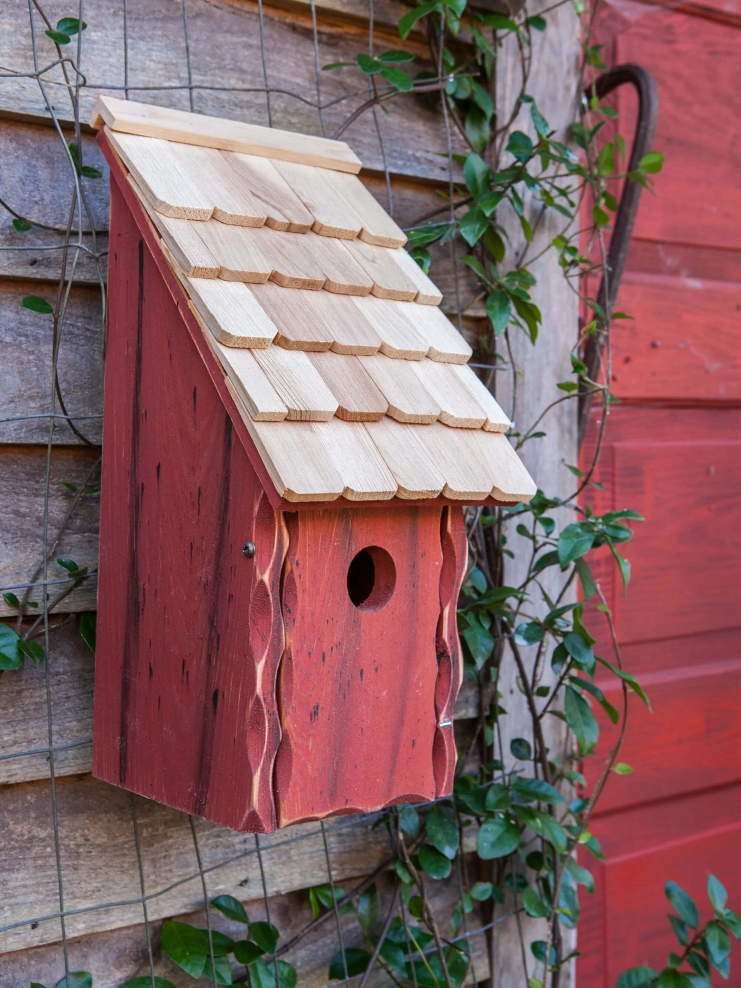 Heartwood Bluebird Bunkhouse Bird House