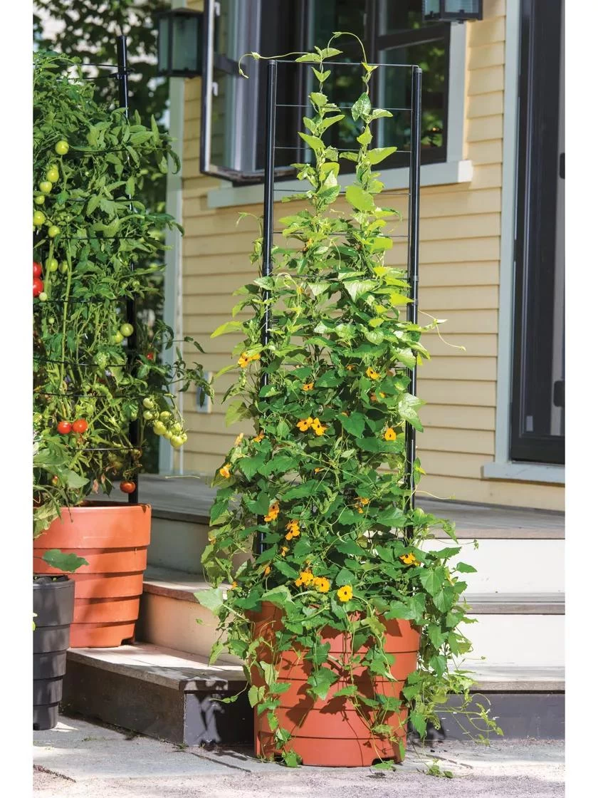 Vine Trellis For Gardener's Victory Self-Watering Planter With Support System - Image 2