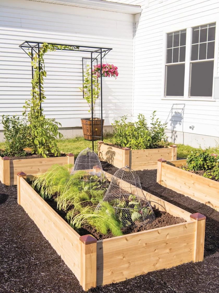 Copper Cap Raised Beds - Image 7