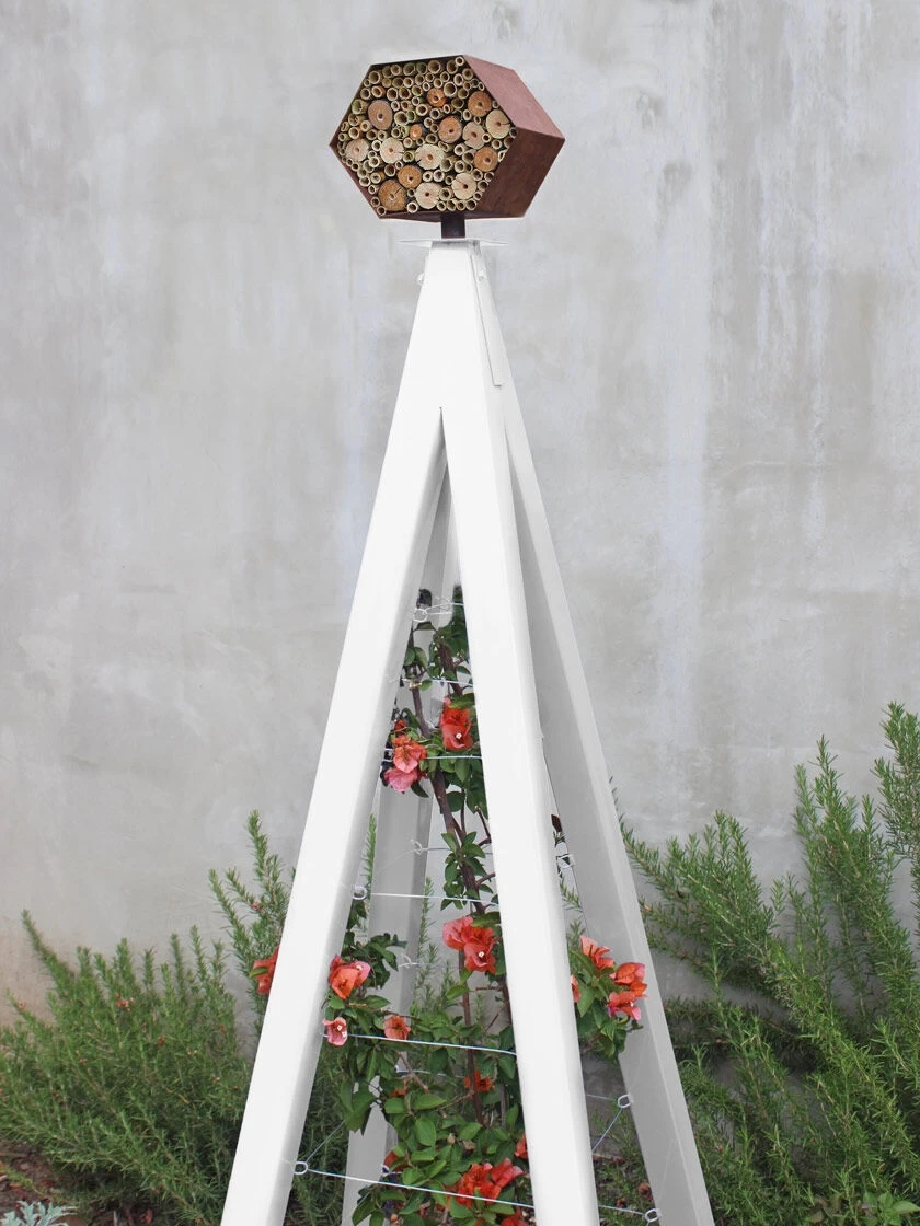 Bee Bungalow + Akoris Garden Tuteur Jr. - Image 5