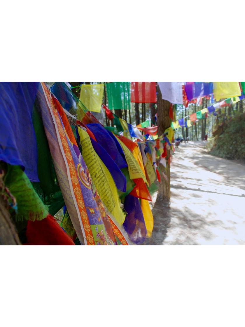 Tibetan Prayer Flags - Image 2