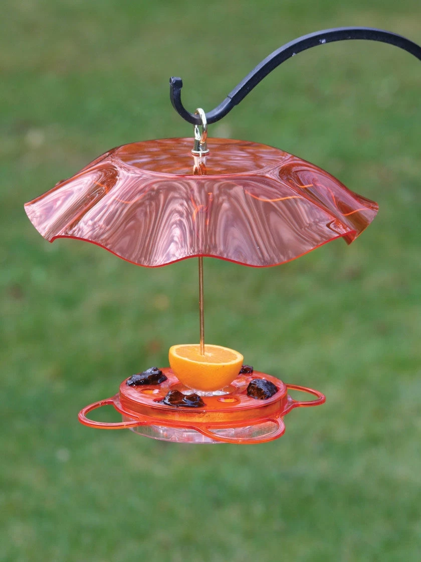 Birds Choice™ Oriole Feeder With Bee And Weather Guard