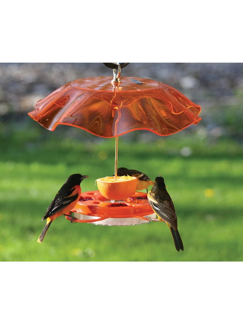 Birds Choice™ Oriole Feeder With Bee And Weather Guard - Image 2