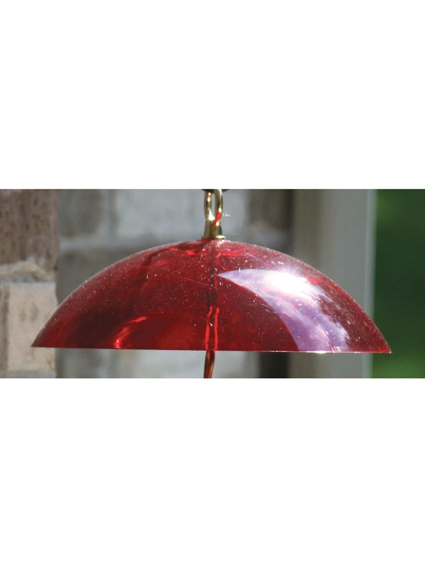 Birds Choice Hanging Dome With Brass Hanger - Image 2