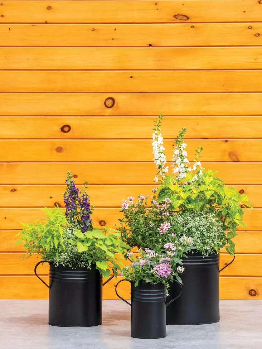 Metal Bucket Planters - Image 2