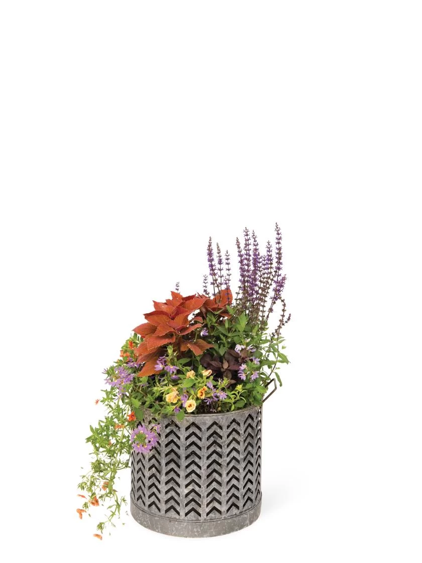Galvanized Grow Bag Planter 12" - Image 3