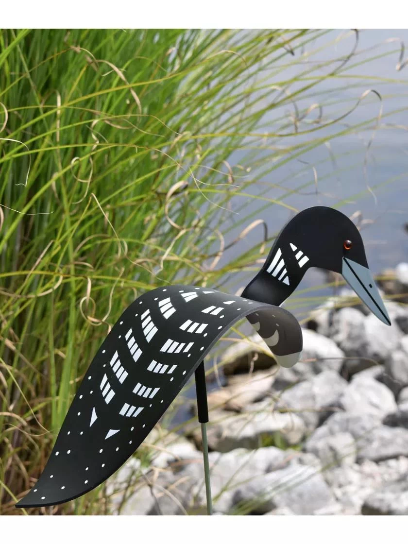 Florida Dancing BirdsĀ®, Loon - Image 2