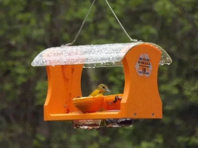 Birds Choice™ Oriole Feeder - Image 2