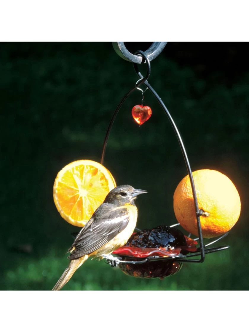Birds Choice ™ Oriole Flower Feeder - Image 3