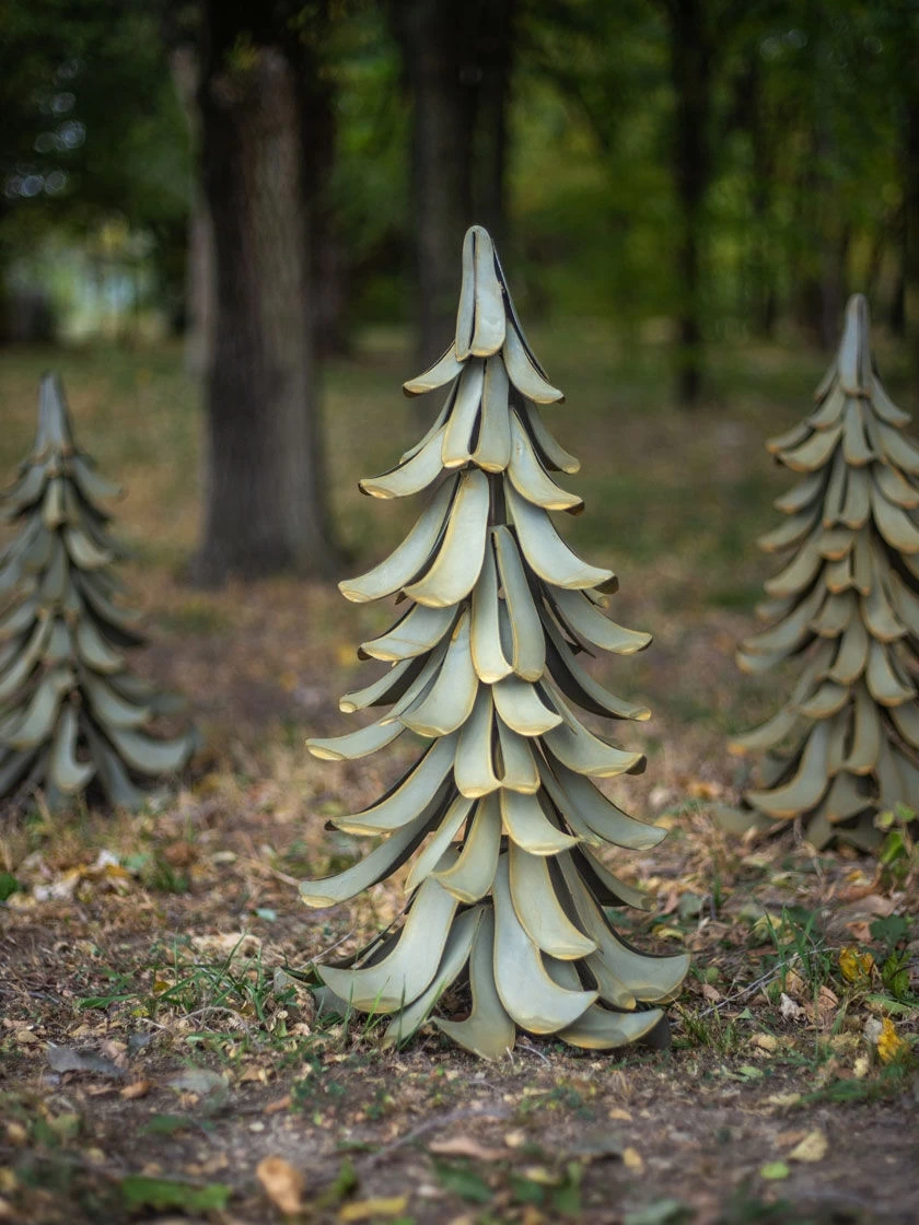 Desert Steel Blue Atlas Cedar - Image 3