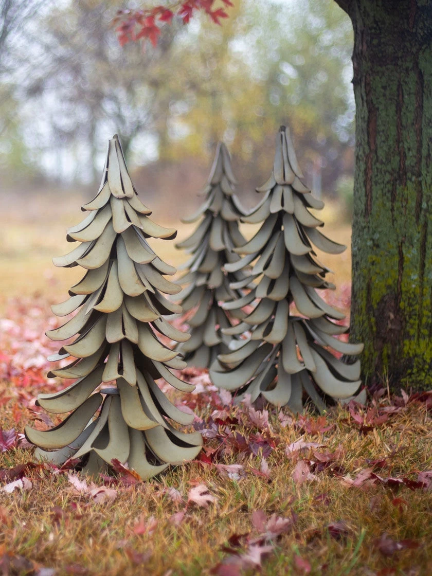 Desert Steel Blue Atlas Cedar - Image 4