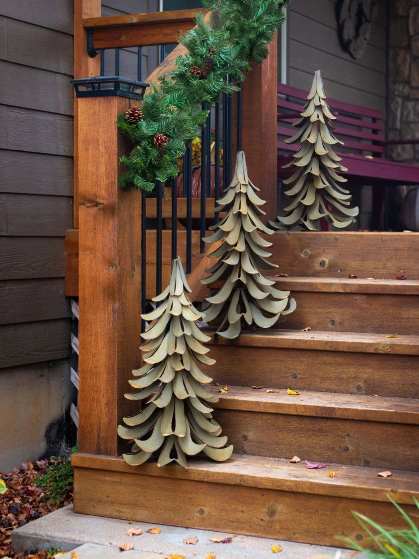 Desert Steel Blue Atlas Cedar - Image 2