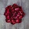 Desert Steel Ruby Rose Succulent Sculpture, Small