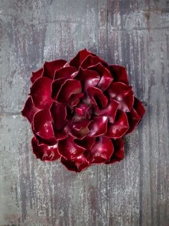 Desert Steel Ruby Rose Succulent Sculpture, Small