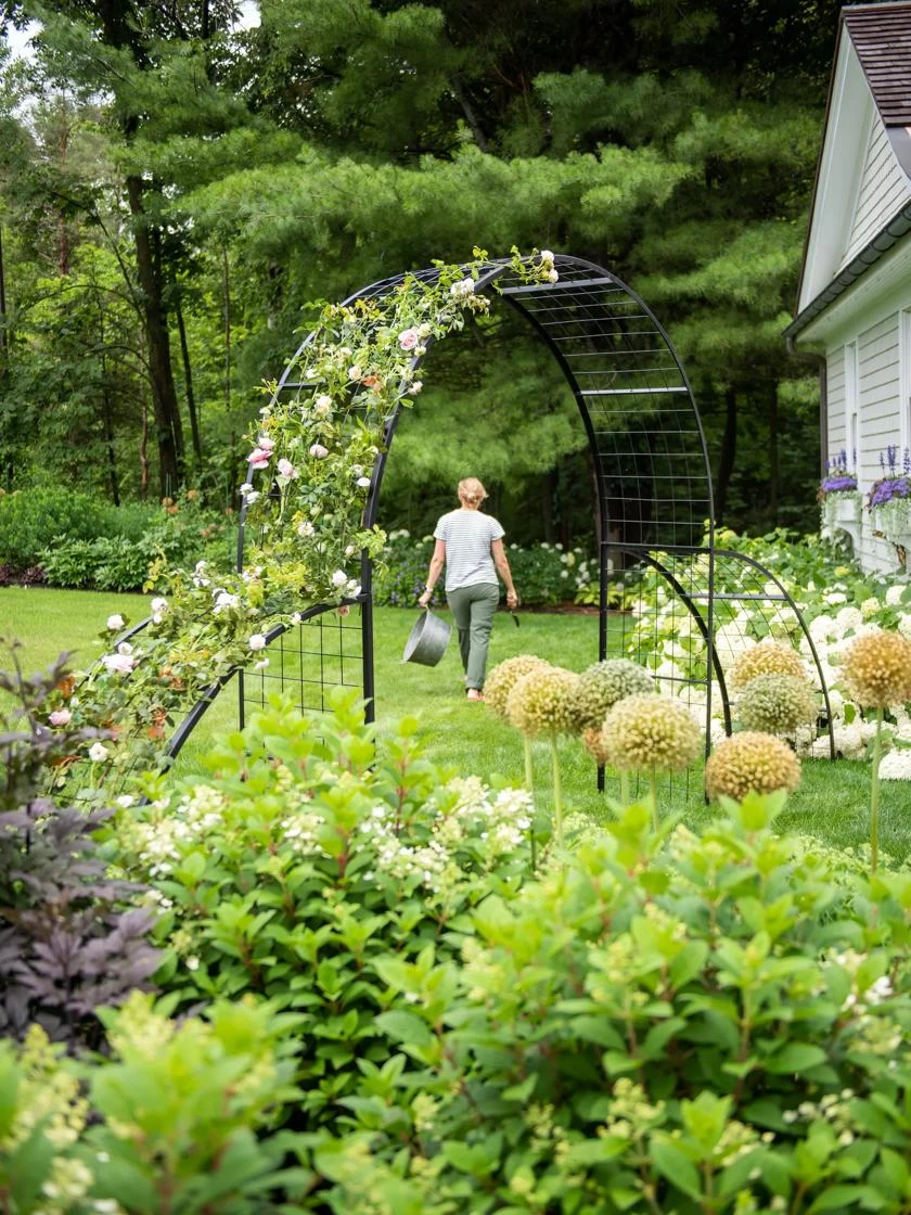 Gateway Arch - Image 2