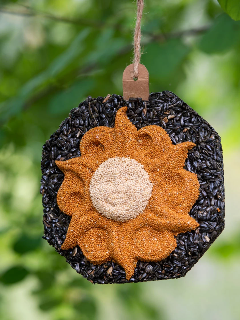Sunface Birdseed Wreath
