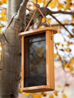 Spruce Creek Tall Finch Feeder