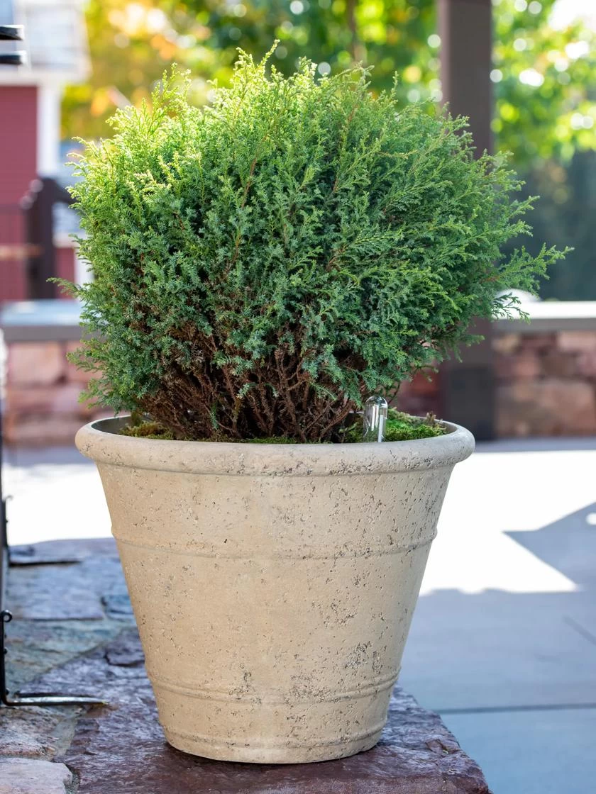 Self-Watering LavaStone® Anson Pot - Image 3