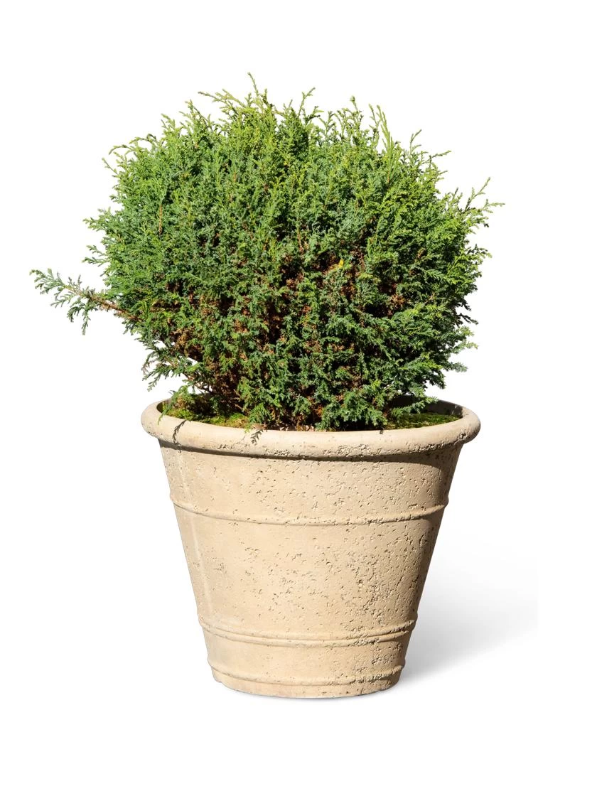 Self-Watering LavaStone® Anson Pot - Image 5