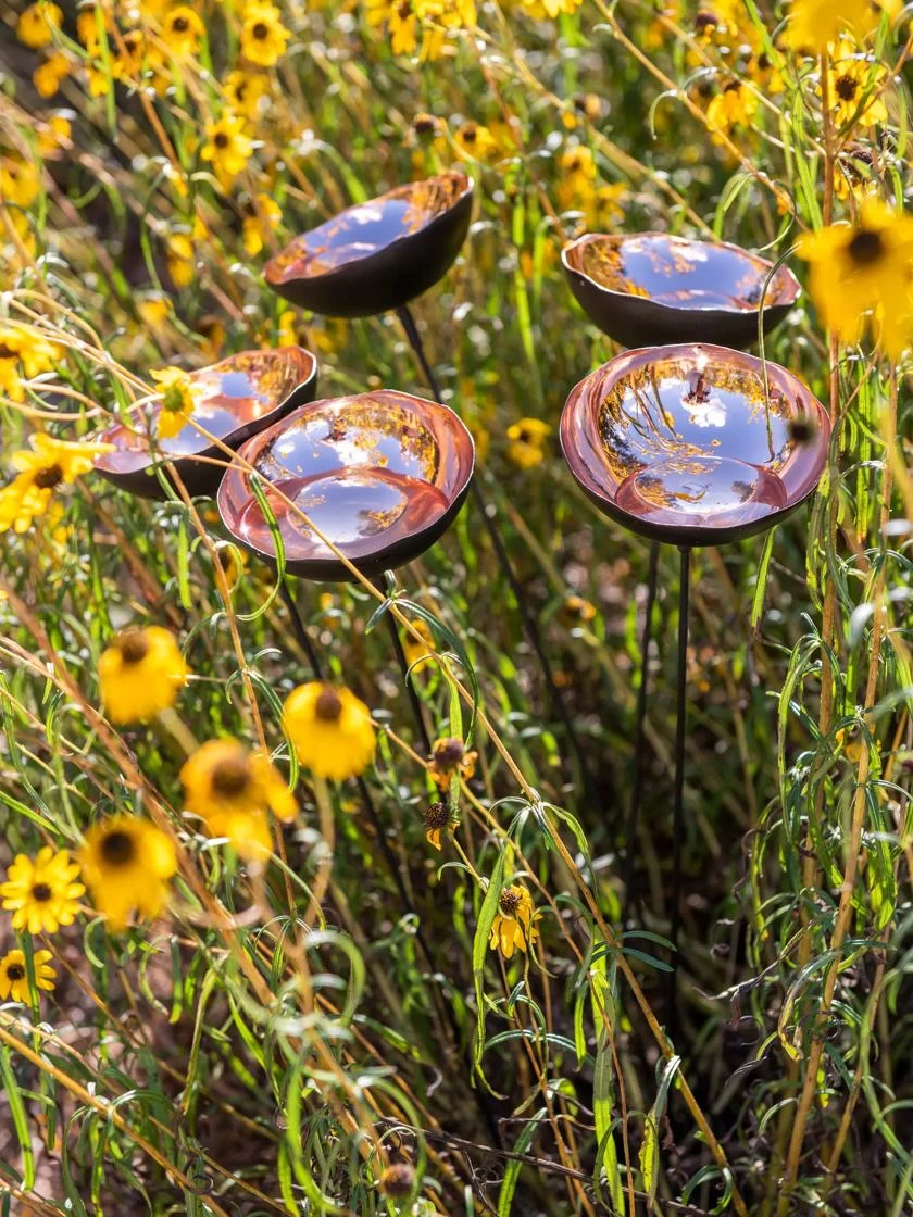 Copper Poppy Sways, Set Of 5 - Image 2