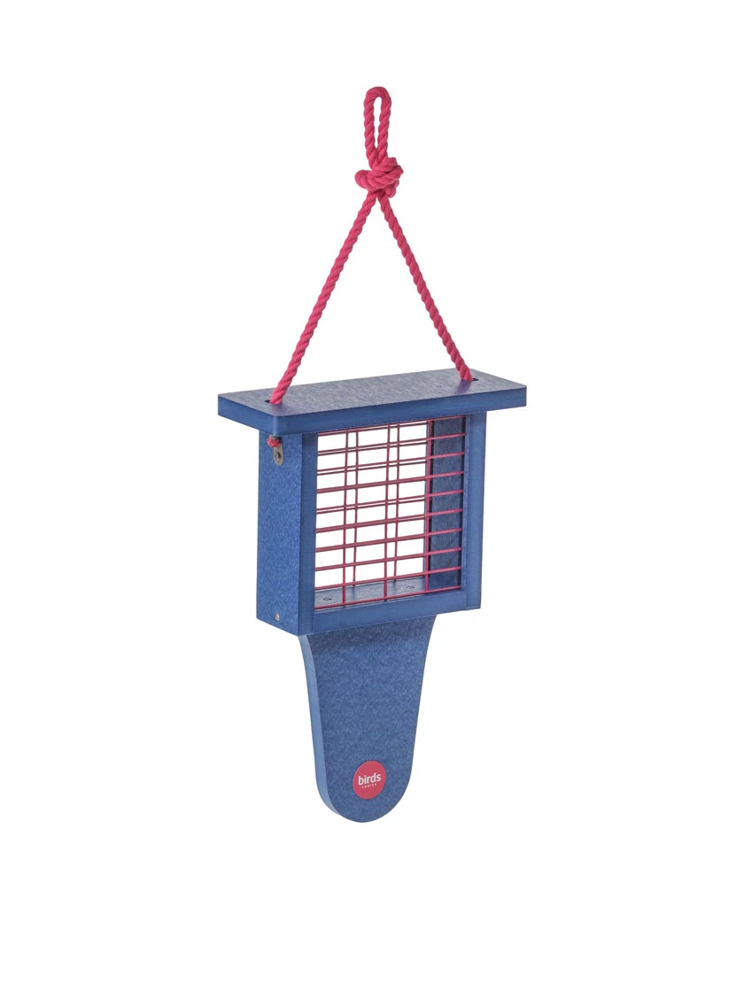 Color Pop Suet Feeder With Tail Prop From Recycled Plastic - Image 2